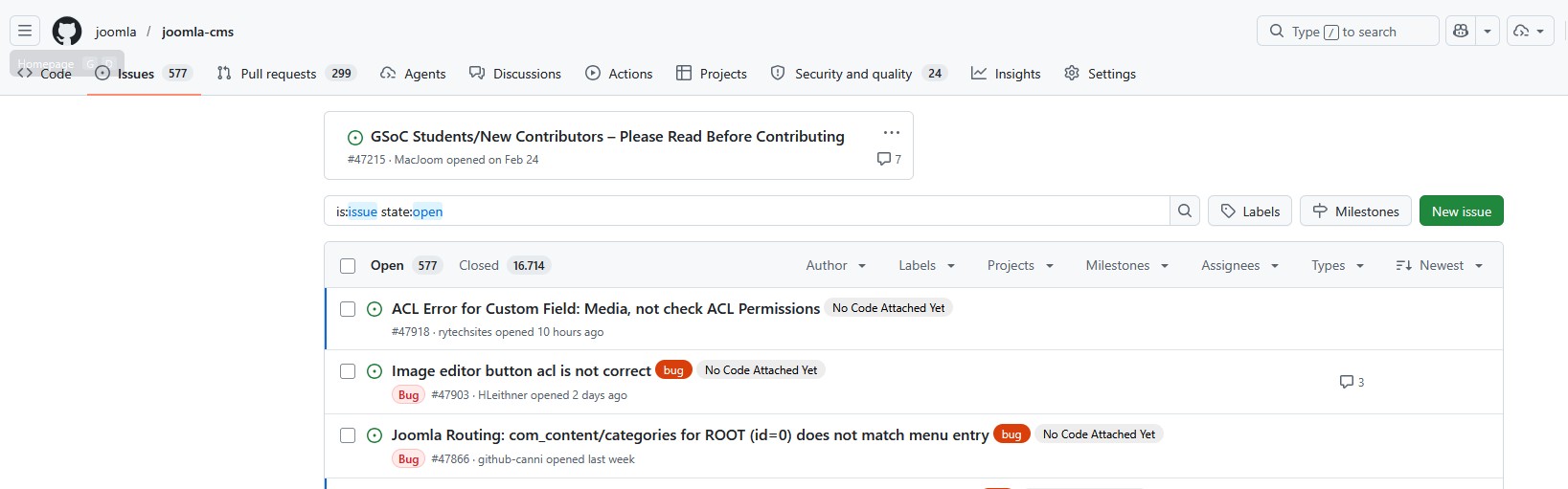 Screenshot von offenen Issues auf GitHub